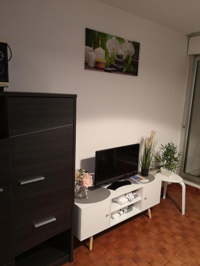 Apartment Climatise Centre Port Piscine
