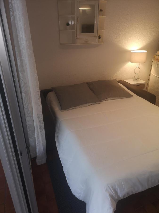 Climatise Centre Port Piscine Apartment